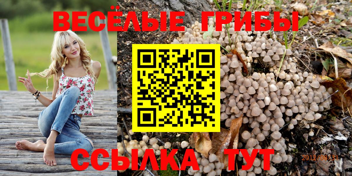 Галлюциногенные грибы Psilocybine cubensis  Вход с VPN  Ачхой-Мартан 
