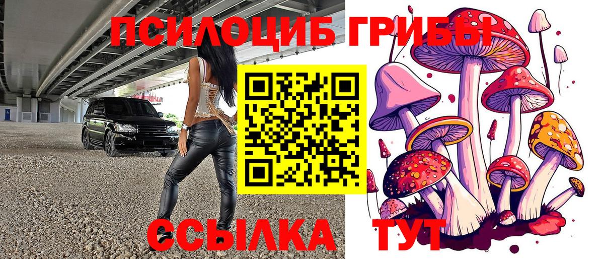 Псилоцибиновые грибы ЛСД Ачхой-Мартан